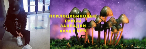 кокаин премиум Богородицк