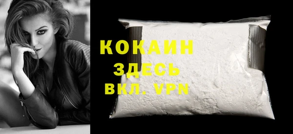PSILOCYBIN Бородино