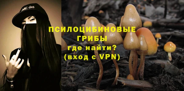 mdma Богданович