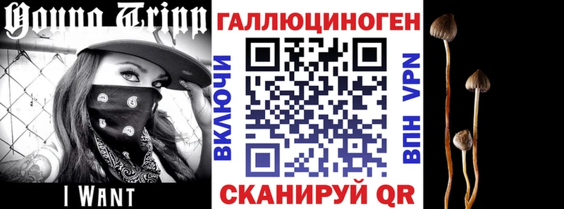 Галлюциногенные грибы мицелий гидра как войти Горнозаводск